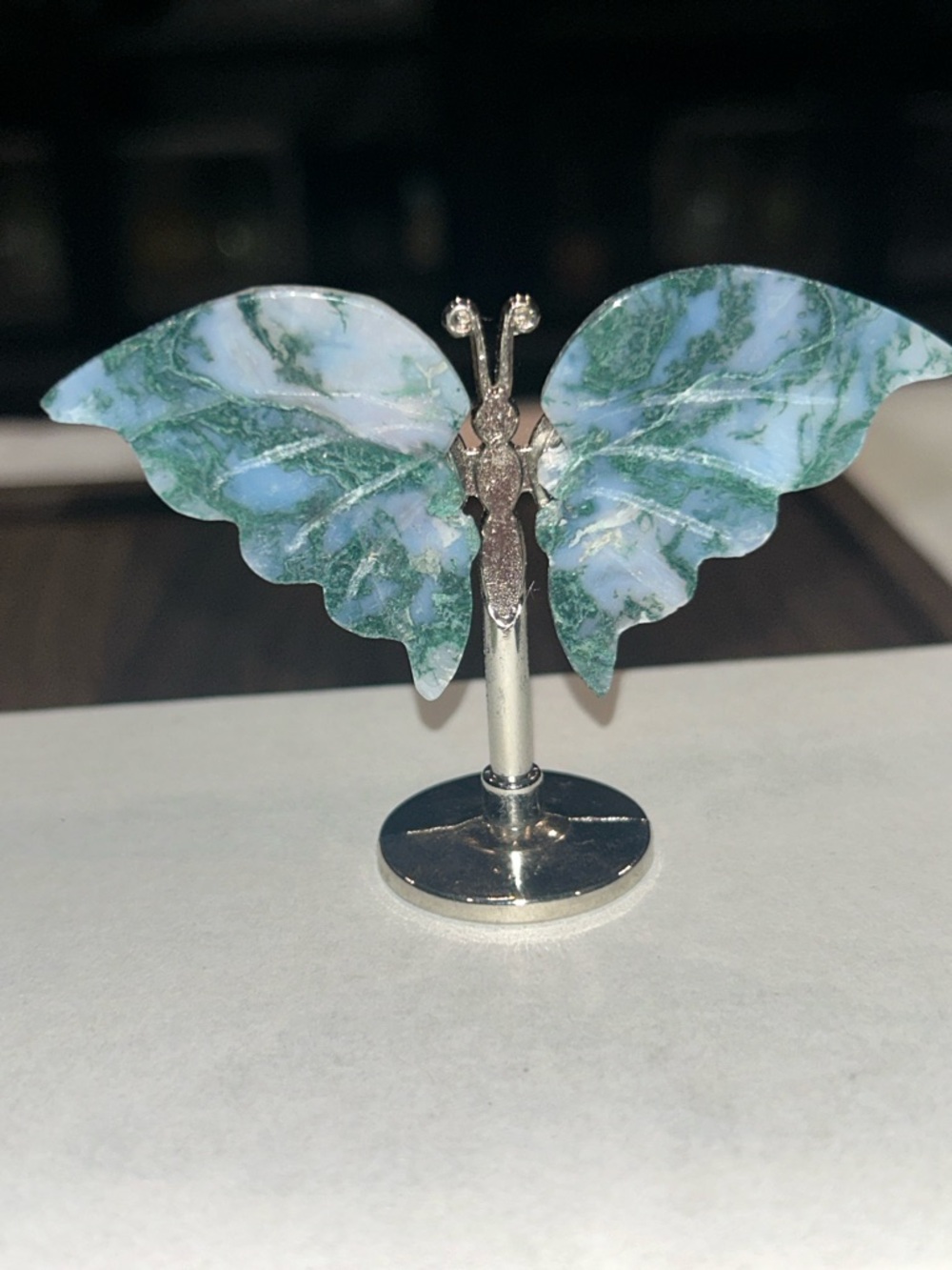 Butterfly - Picture 4 of 5
